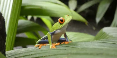 Palo Verde National Park Boat Tour