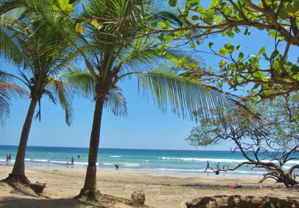 Playa Avellanas